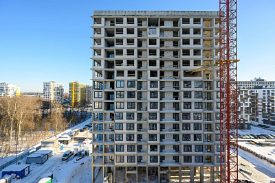 Левел Лесной