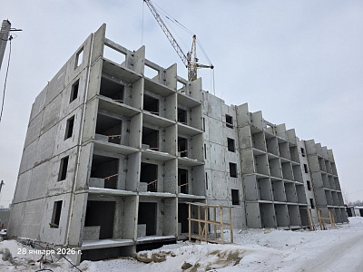 КВАРТАЛ ТИГРЫ