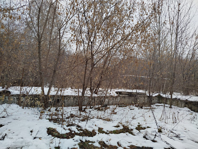 г. Новосибирск