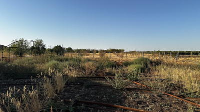 Село Новоселовка, Улица Виноградная