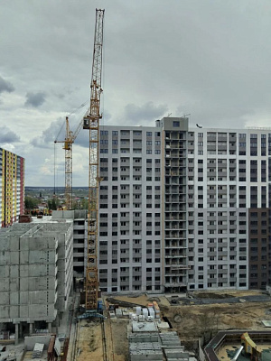 г. Воронеж, Улица