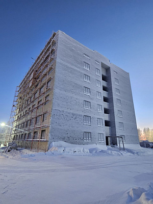 г. Губкинский