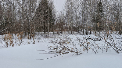 г. Бердск