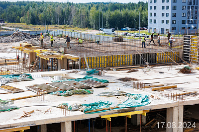 Парголово