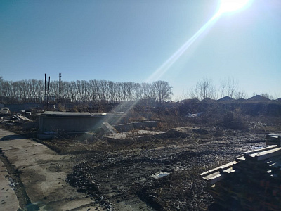Расцветай на Зорге