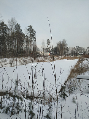ЖК Демидовский