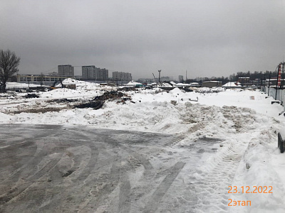 Русич Кантемировский