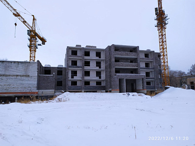 Дальневосточный Талисман
