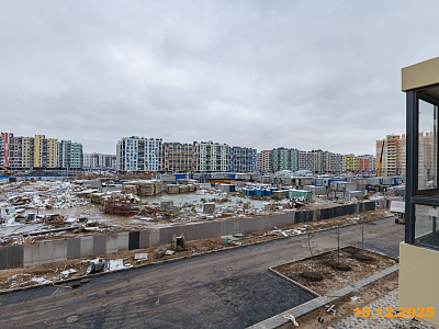 Янинский лес
