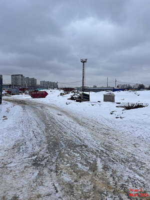 Русич Кантемировский