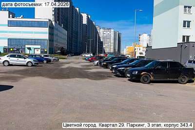 Цветной город