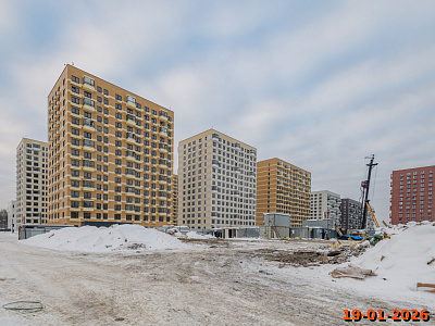Янинский лес