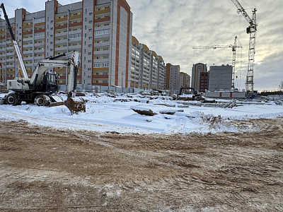 Деревня Новосельцы