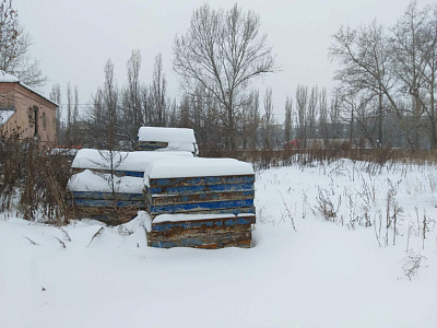 ЖК Новиков