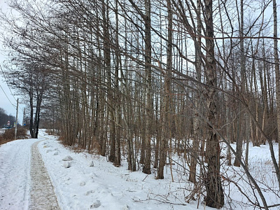 Комплекс апартаментов OTRADA resort