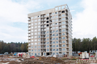 Новоселье