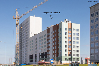 РеФорма Оптимум