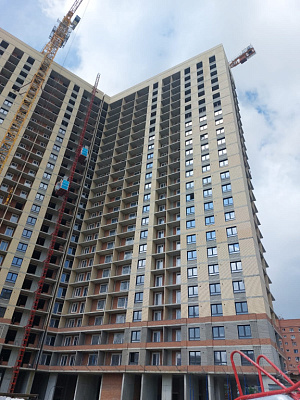 Сакура парк