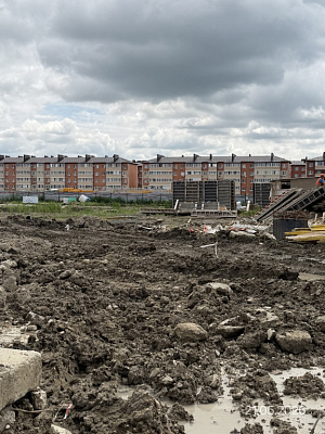 Поселок Новая Адыгея, Улица Бжедугская