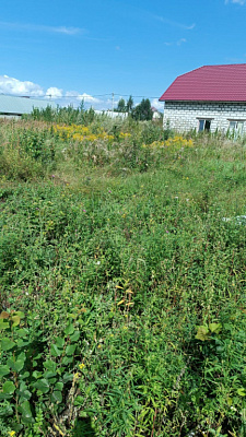г. Бердск