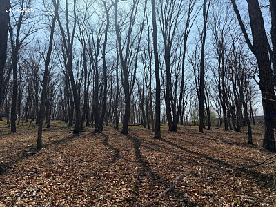 Жилой комплекс