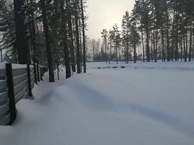 Расцветай у Академгородка