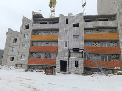 Деревня Новосельцы