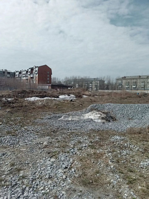 г. Новосибирск, ул Приморская