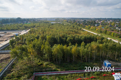ЛО, Поселок Новогорелово