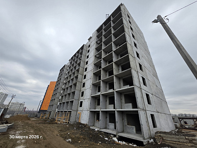 КВАРТАЛ ТИГРЫ