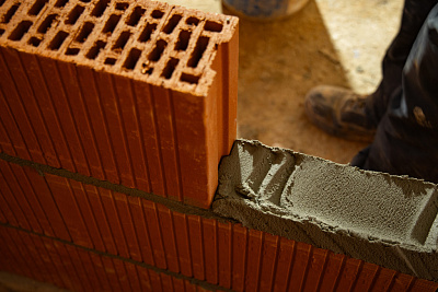 Брусника в Новоселье