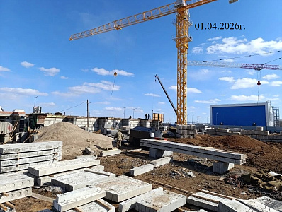 Левашевская роща