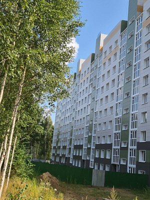 г. Зеленодольск, Улица Строителей