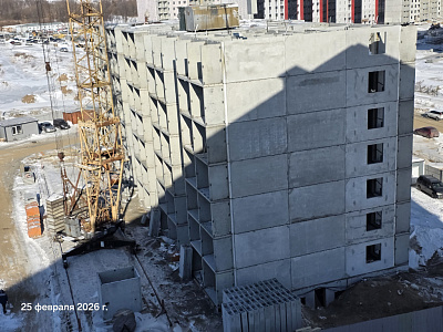 КВАРТАЛ ТИГРЫ