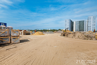 Парголово