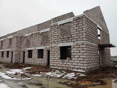 ЛО, Городской поселок Фёдоровское, Улица Меньшиковская