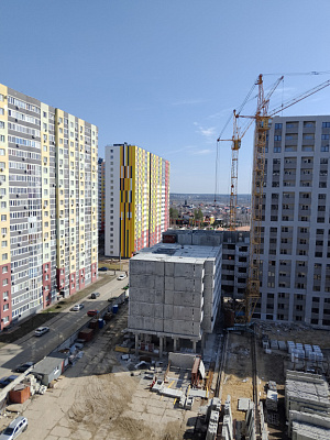 г. Воронеж, Улица