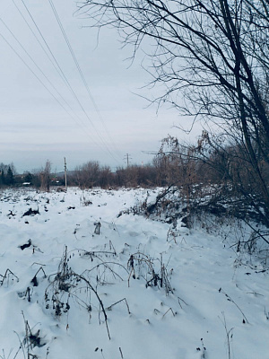 село С Новолуговое