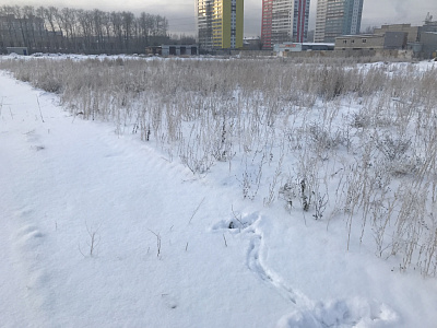 Красное яблоко Э10Секции2.7,2.8,2.9,2.10