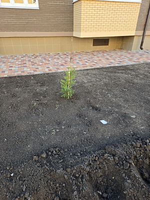 г. Краснодар, Улица Софийская