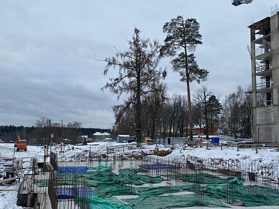 МО, Поселок городского типа Радумля, район ММС-2