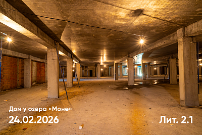 Моне. Дом у озера