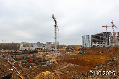 Прокшино
