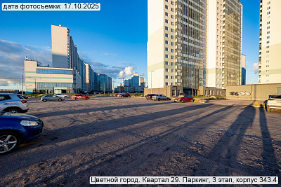 Цветной город