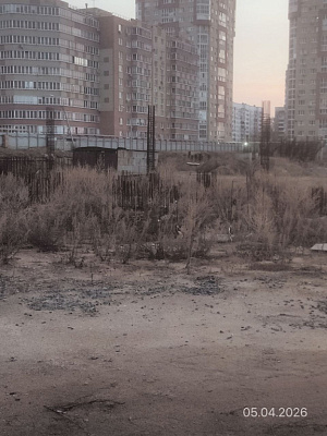 Мирапорт