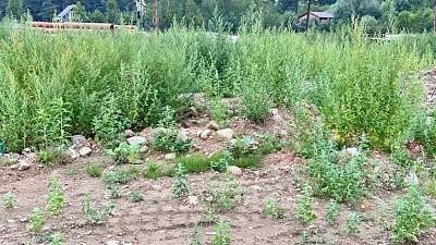 Загородный квартал