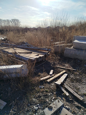 Расцветай на Зорге