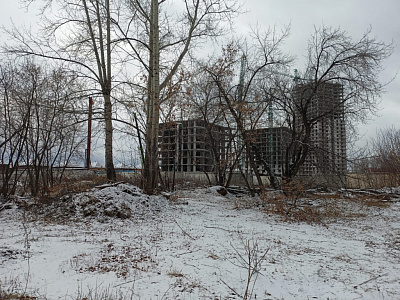 Расцветай на Зорге