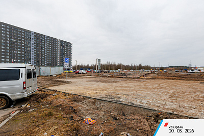 г. Санкт-Петербург, поселок Парголово, район Пригородный