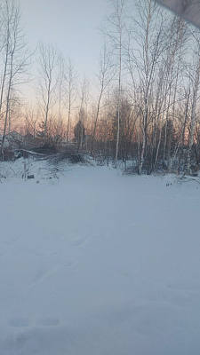 г. Бердск